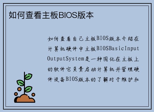如何查看主板BIOS版本