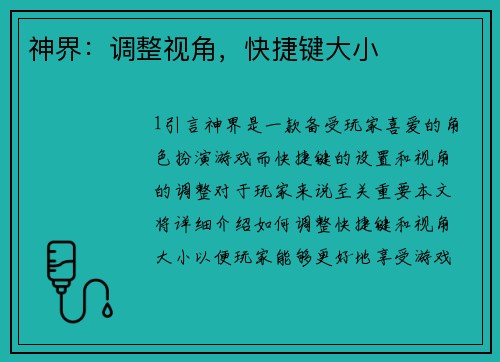 神界：调整视角，快捷键大小